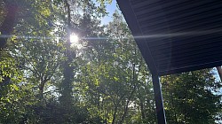 Sonne oder Schatten? Beides möglich.