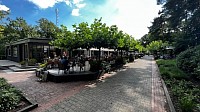 Sophia‘s