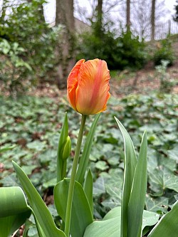 tolle Farben.