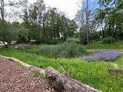 Filterteich 2