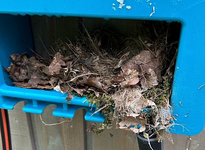 Vogelnest
