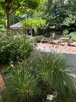 Sommer im Parc. September